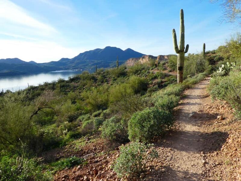 Mesa: Saguaro Lake View Hike - Key Points