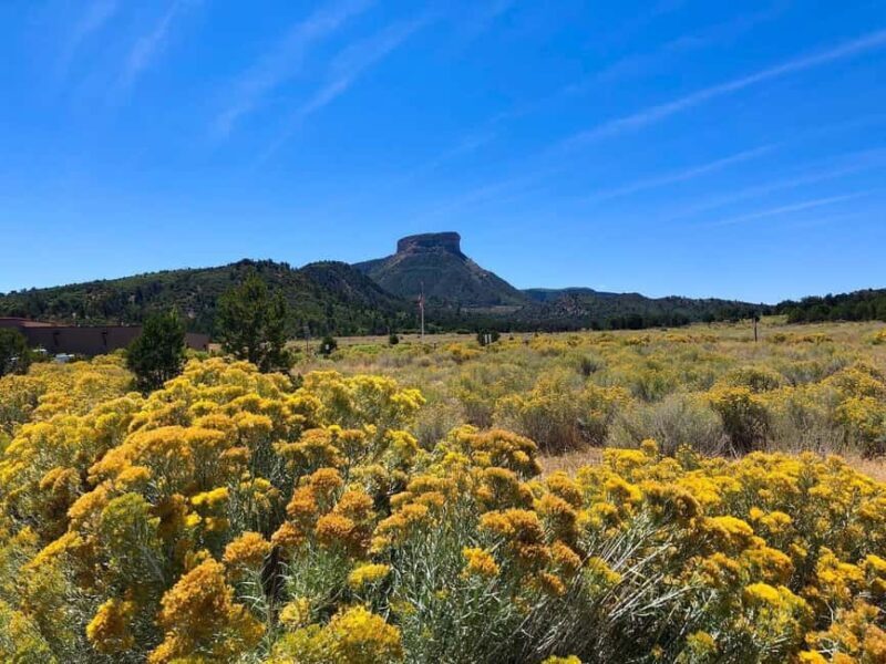 Mesa Verde: 700 Years Tour & Ranger-Guided Cliff House Visit - FAQ