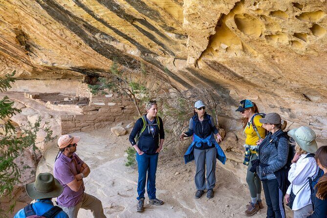 Mesa Verde Express Tour With Tickets To Cliff Palace - The Value of This Tour