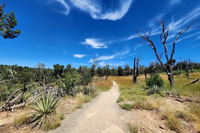 Mesa Verde National Park Self-Guided Audio Tour - Final Thoughts