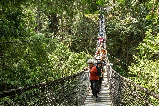 Mesmerizing Nature Walk in Lynn Canyon Park - What Makes This Tour Stand Out?