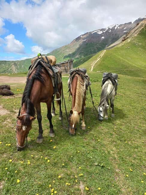 Mestia: Horse Riding Tour to Koruldi Lakes - FAQs