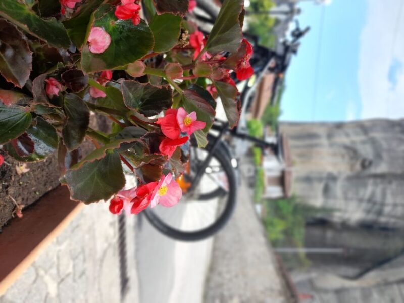 Meteora and Neanderthal cave Morning tour - Authentic Insights from Reviews