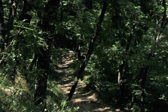 Meteora day trip from Thessaloniki - An In-Depth Look at the Meteora Day Trip