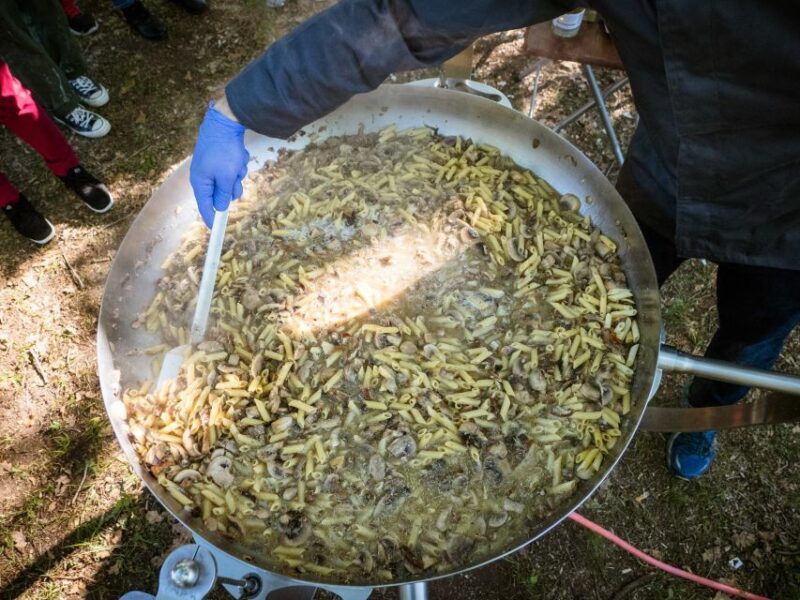 Meteora Truffle Hunting Experience with Lunch & Museum Visit - The Itinerary Breakdown: What You Can Expect