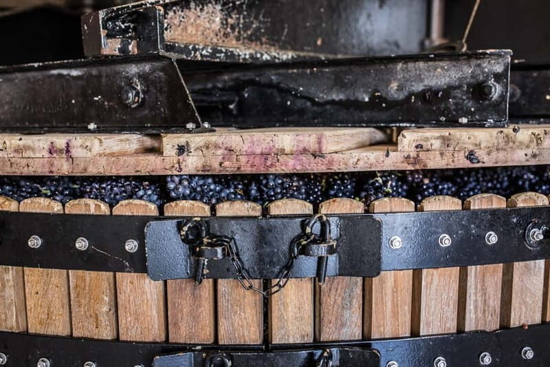 Meunier Champagne Experience tour - Passy-Grigny - An In-Depth Look at the Tour Experience