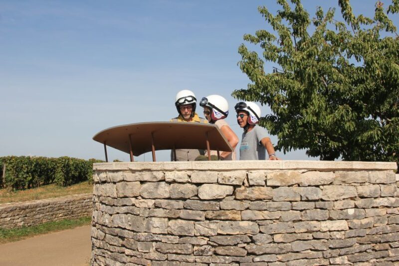 Meursault: Tour of the Vineyards on Motorbike with Sidecar - Who Would Love This Tour?