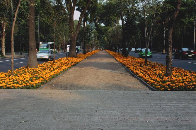 Mexican Craft Beer Tasting Experience - Key Points