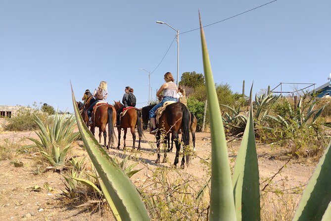 Mexican Equestrian Experience - Key Points