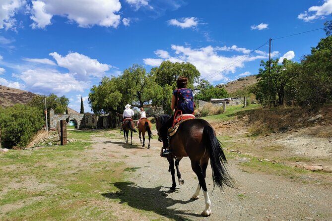 Mexican Equestrian Experience - An In-Depth Look at the Guanajuato Horseback Tour