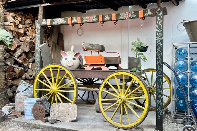 Mexican Food Bites Experience - Practical Details and Tips