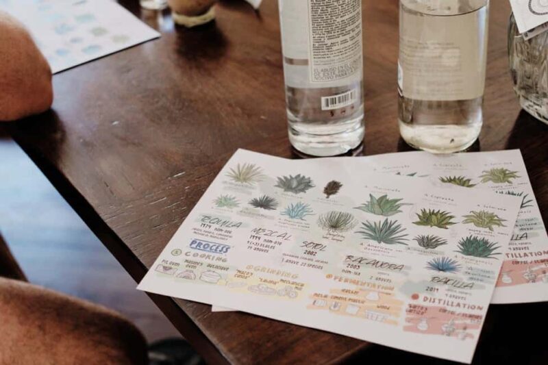 Mexican Spirits Tasting: Experience the Essence of Tradition - Who Will Love This Experience?