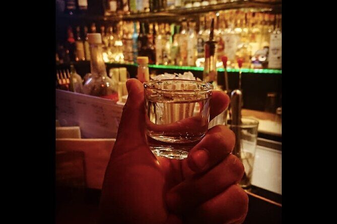 Mexican Spirits Tasting: Experience the Essence of Tradition - Who Will Love This Experience?