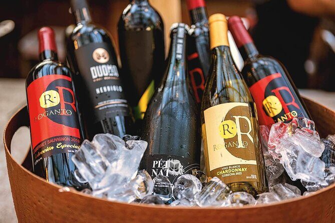 Mexican Wine Tasting & Aroma Sensory Experience - Key Points