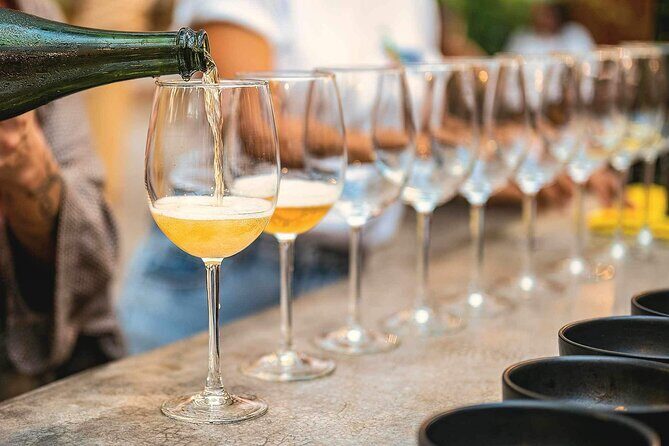 Mexican Wine Tasting & Aroma Sensory Experience - Who Should Book This Tour?
