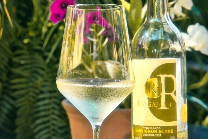 Mexican Wine Tasting & Aroma Sensory Experience - FAQ