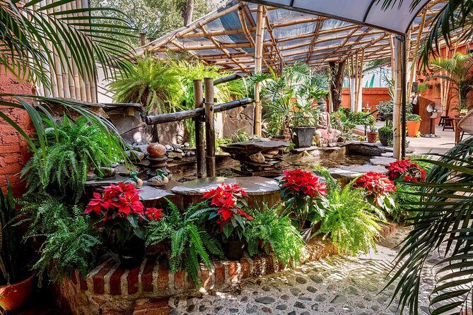 Mexican Wine Tasting Experience - Practical Details and Tips for Travelers