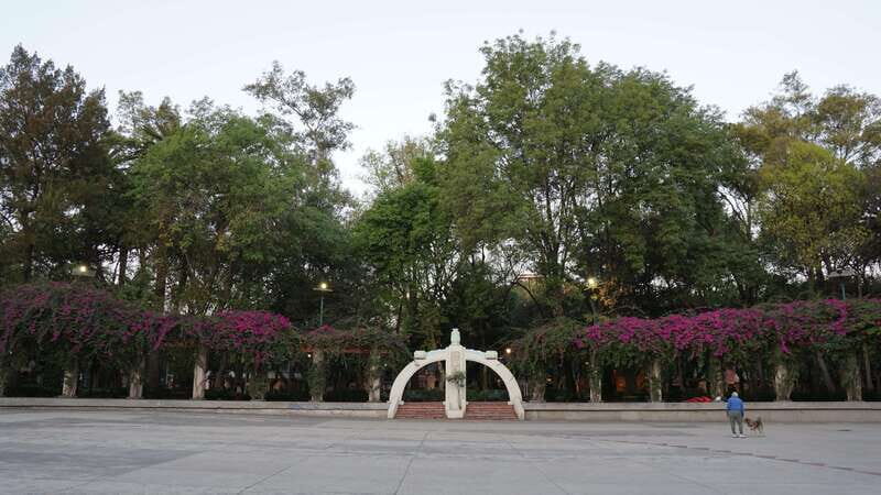 Mexico City: 19 City Highlights Bicycle Tour - An Authentic, Fast-Paced Tour of CDMX