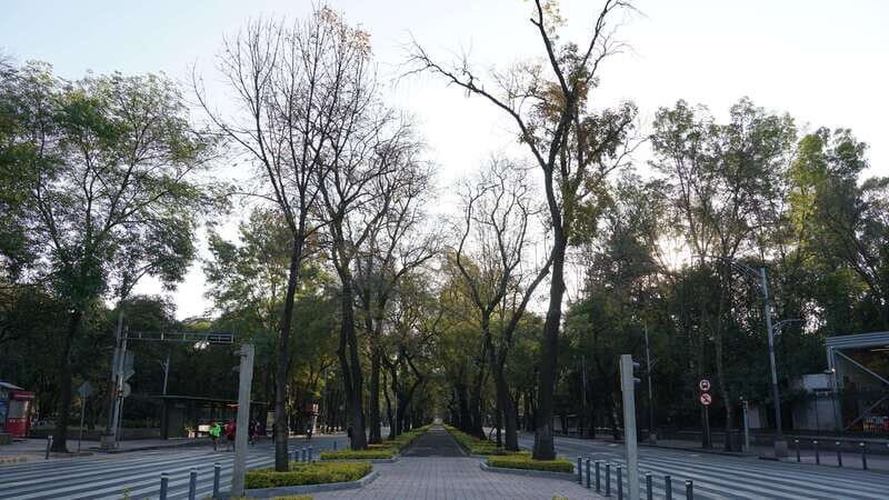 Mexico City: 19 City Highlights Bicycle Tour - FAQ