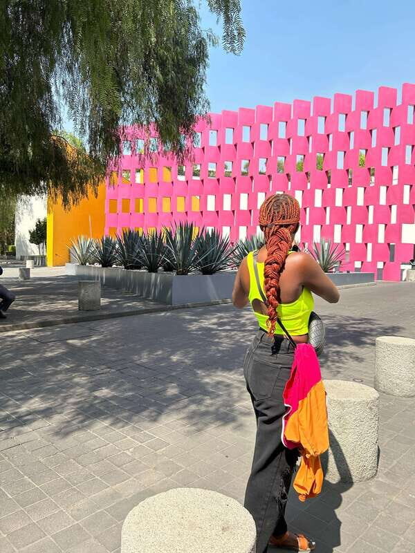 Mexico City: 1960s &1970s Mexican Architecture Walking Tour - A Closer Look at the Tour Experience