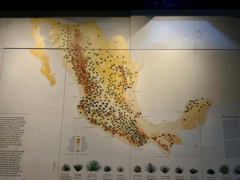 Mexico City: Agave Museums, Tastings and Mariachi Night Tour - Introduction