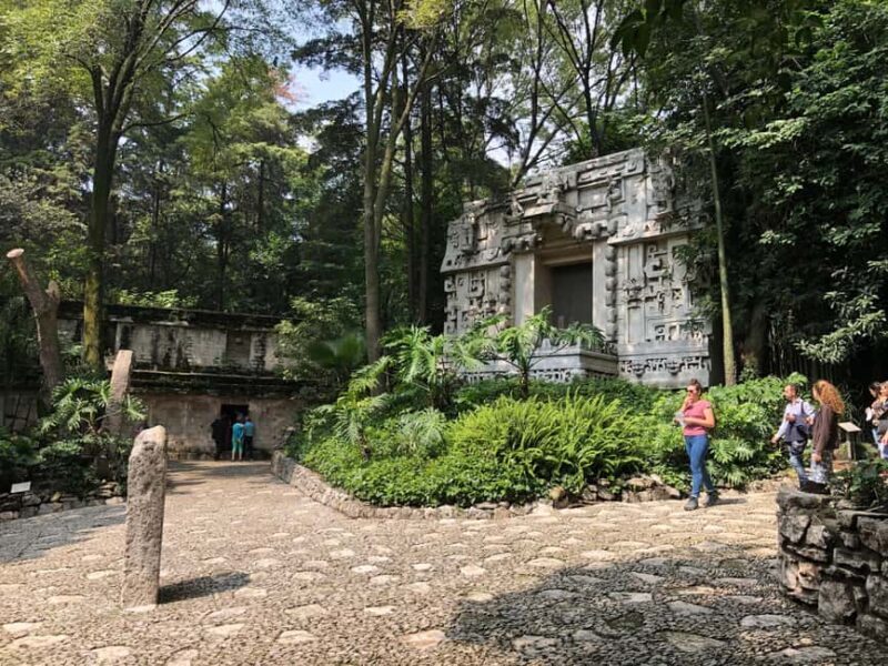 Mexico City: Anthropology Museum Tour with Historian - Authentic Insights from Past Travelers
