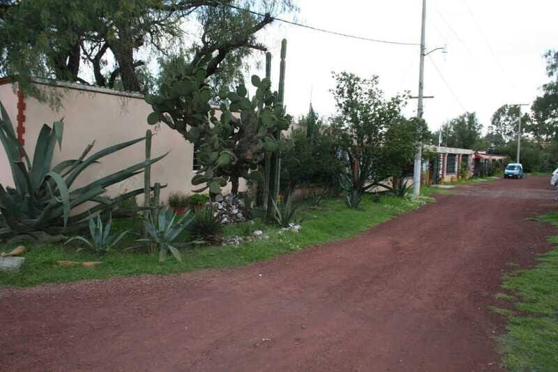 Mexico City: Basilica and Teotihuacan Pyramids Tour - Who Will Love This Tour?