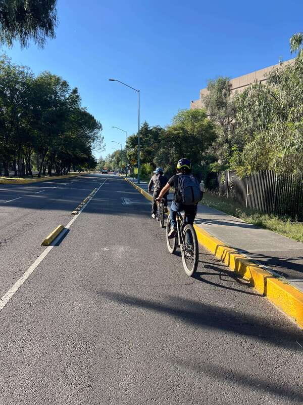 Mexico City: Bike, Cannabis, Nature, Food, Culture and History. - An In-Depth Look at the Tour Experience