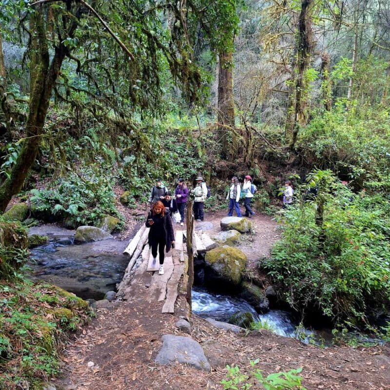 Mexico City: Bubble Waterfall Private Hike with Pickup - A genuine exploration into Puebla’s volcanic landscapes