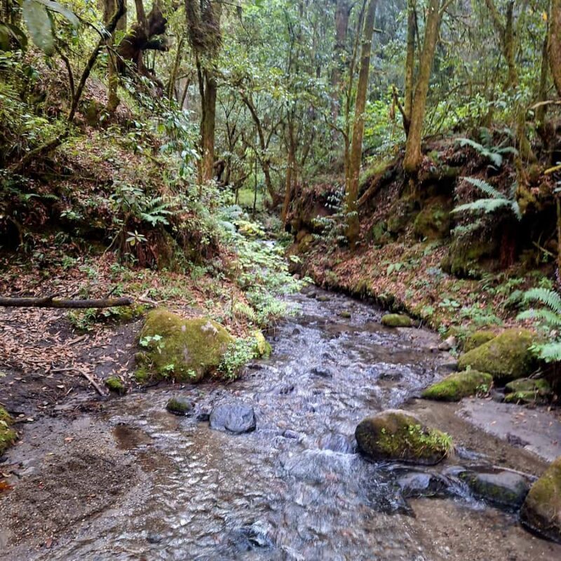 Mexico City: Bubble Waterfall Private Hike with Pickup - The value of this experience