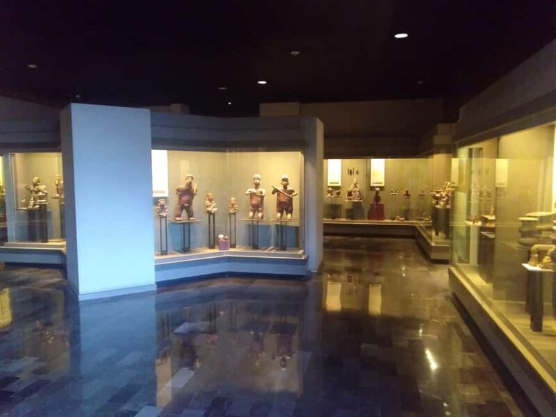 Mexico City: Chapultepec Park and Museums Walking Tour - Why This Tour Stands Out