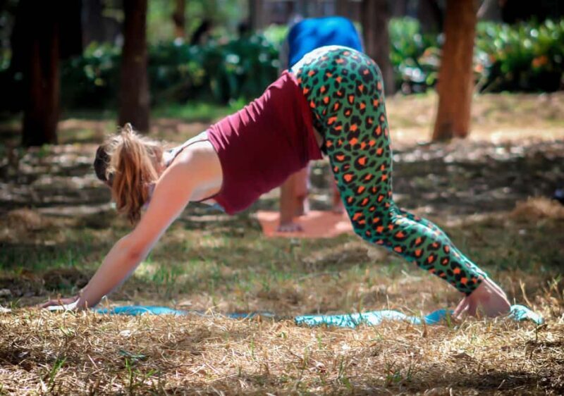 Mexico City: Chapultepec Park Yoga Class with Sound Bath - Who Will Appreciate This Yoga Class?