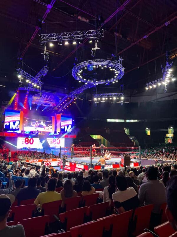 Mexico City: Cocktails Tasting, Lucha Libre & Tacos - Who Should Consider This Tour?