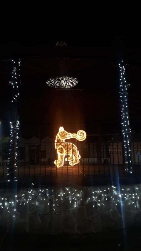 Mexico City: Coyoacán Tour, Frida Kahlo Museum & Breakfast - Who This Tour Is Best For