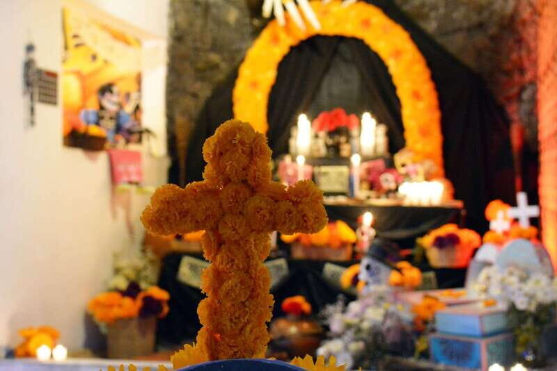 Mexico City: Day of the Dead House and craft workshop - Authentic and Educational: Why It Matters