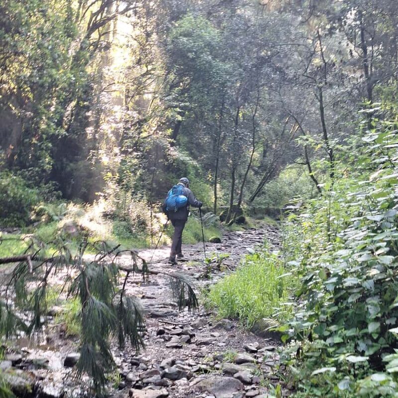 Mexico City: Diamond Waterfall Private Hiking Tour - Practical Considerations