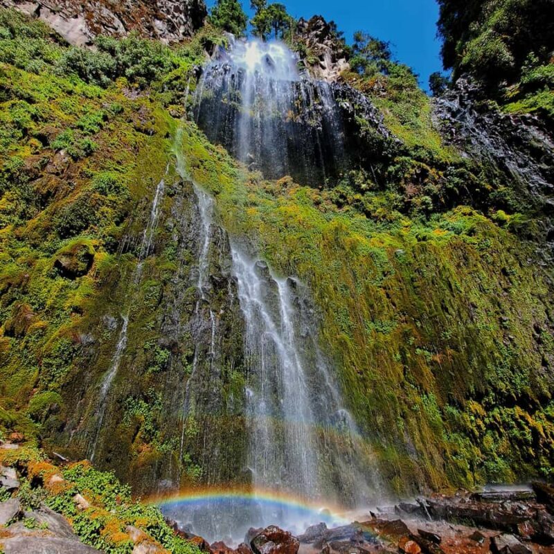 Mexico City: Diamond Waterfall Private Hiking Tour - FAQ