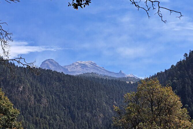 Mexico City: Diamond Waterfall Private Hiking Tour - Final Thoughts: Who Is This Tour Best For?