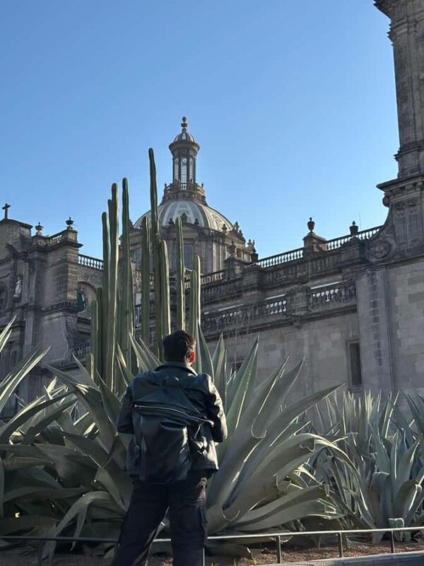 Mexico City: Downtown Walking Tour, a view from the past to the present - A detailed look at the experience