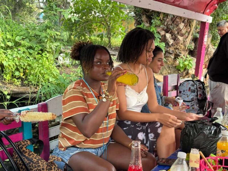 Mexico City: Expert-Guided Boat Tour with Lunch and Drinks - Value and Practical Tips