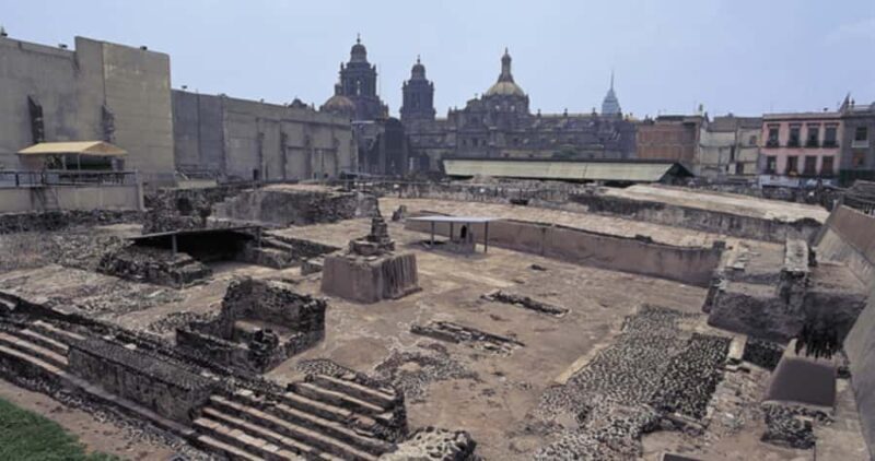 Mexico City: ExpertLed Historical Walking Tour (PhD Guide) - Practical Details and Value