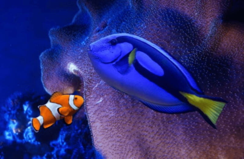 Mexico City: Fast Pass Ticket to Acuarium Inbursa - What To Expect from the Fast Pass at Inbursa Aquarium