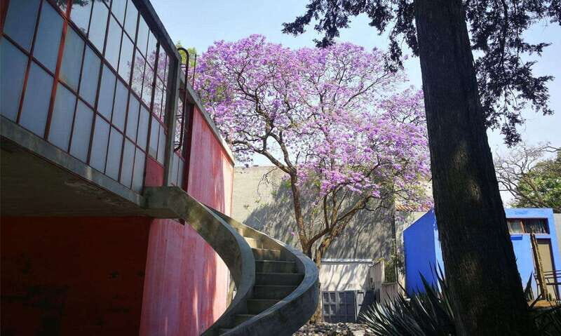 Mexico City: Frida Kahlo-Diego Rivera Studio House Tour - An In-Depth Look at the Frida Kahlo-Diego Rivera Studio House Tour