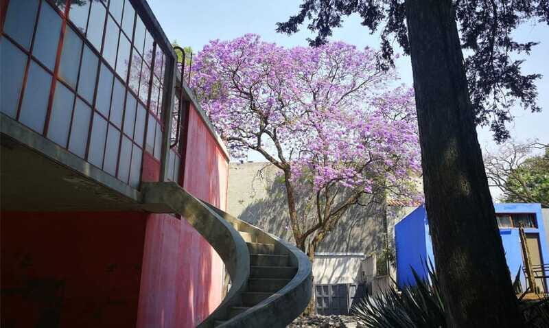 Mexico City: Frida Kahlo-Diego Rivera Studio House Tour - The Sum Up