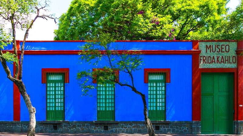 Mexico City: Frida Kahlo Museum & Coyoacan Tacos & Food Tour - Who Will Love This Tour?