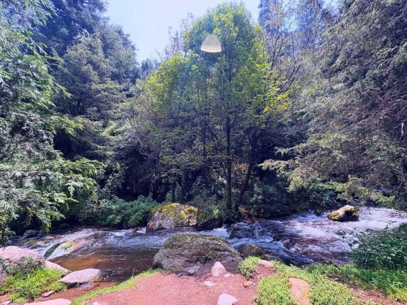 Mexico City: Guided Hike in the Dinamos Forest - Key Points