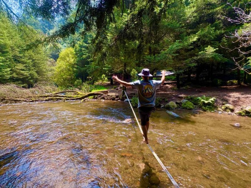 Mexico City: Guided Hike in the Dinamos Forest - The Sum Up