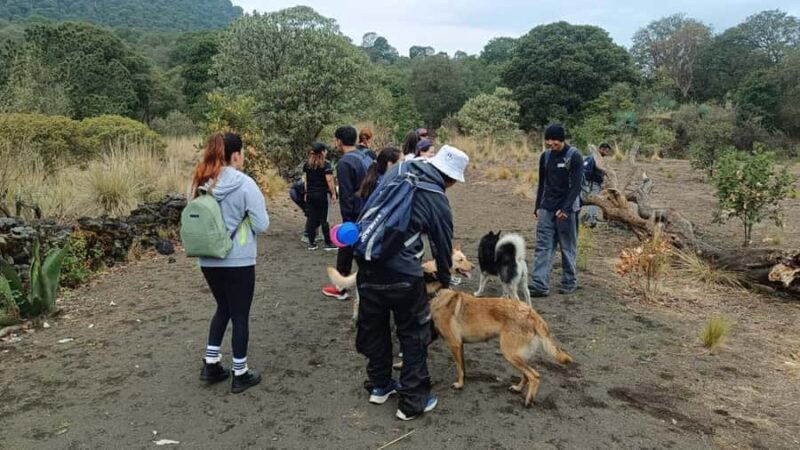 Mexico City: Guided Tour of the Caves of an Inactive Volcano - What Makes This Tour Special