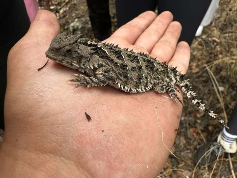 Mexico City: Guided Tour of the Caves of an Inactive Volcano - The Sum Up