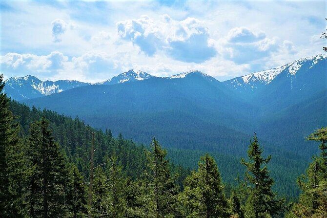 Mexico City Hike: Conquer the Ajusco National Park - Exploring the Itinerary: What to Expect and Why It Matters